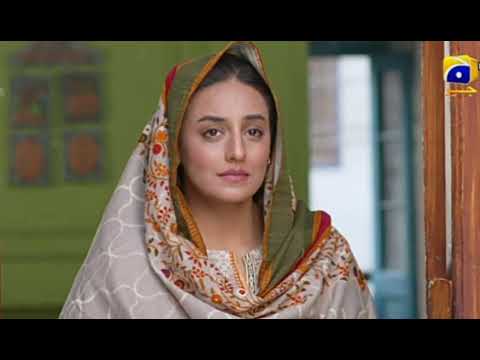qalandar episode 53 promo // qalandar ep 53 teaser // hapal Jeo