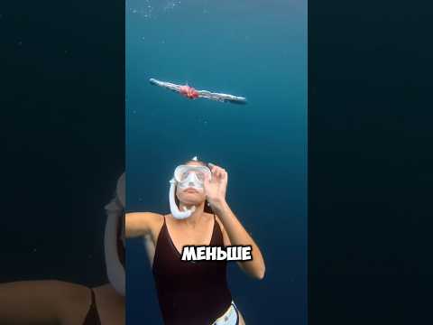 🐣 как делать воздушные кольца под водой #шортс