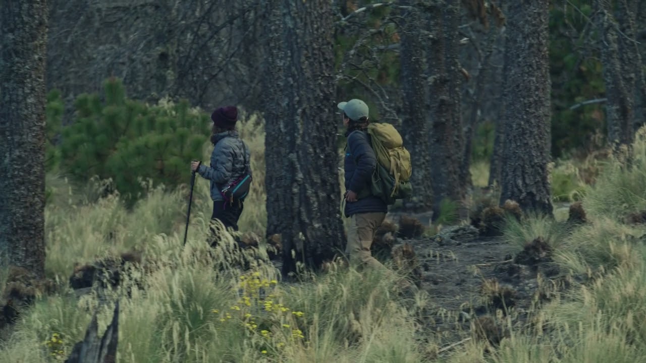 Couple Hiking in the jungle || Stock Videos || No copyright Content Free template