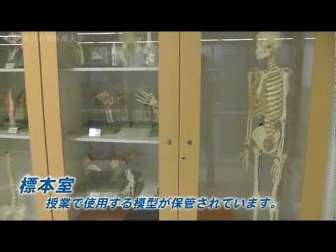 標本室の見学 【東京有明医療大学柔道整復学科】