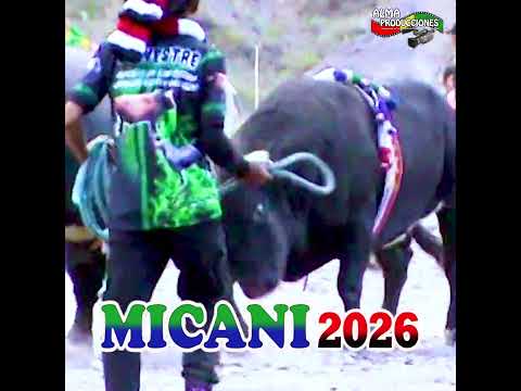 Fiesta de la Cruz de MICANI 2026 T7 "Alfa Mayu-300" 1parte.#shortsviral  #almaproduccionesbolivia
