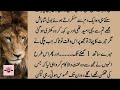 Chachi Or Bhatija A Emotional Heart Touching Story Heart Touching Islamic Story In Urdu 15