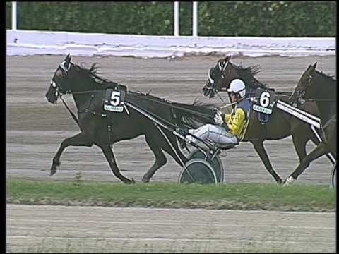 Trotto 13/05/2016 - 1° corsa