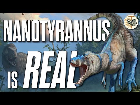 We Ended the Greatest Debate in Paleontology...