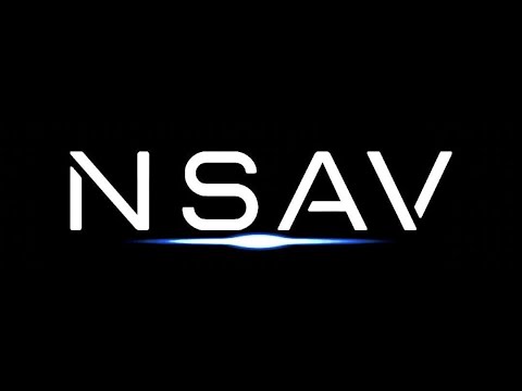 Net Savings Link, Inc. (OTC Pink: NSAV)