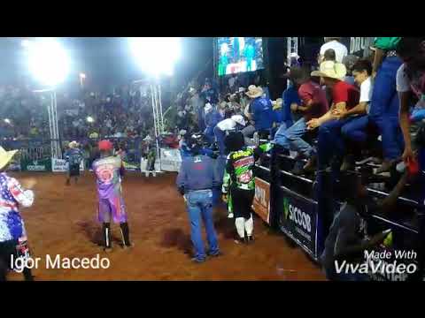 Ultima Montaria da Carreira Porquinho no Touro Estradeiro da Cia JNP
