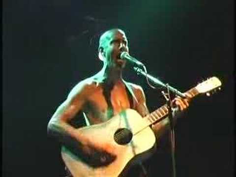 Stuart Davis - Savoring Samsara