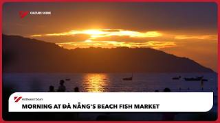 Morning at Đà Nẵng's beach fish market | Vietnam Today