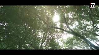 Download lagu Radja - Malaikat Cinta( Video) mp3 Download lagu Radja - Malaikat Cinta( Video) mp3