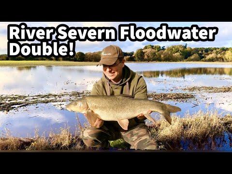 River Severn FLOODWATER Barbel Fishing! Persistence pays off for a DOUBLE at Shrewsbury!