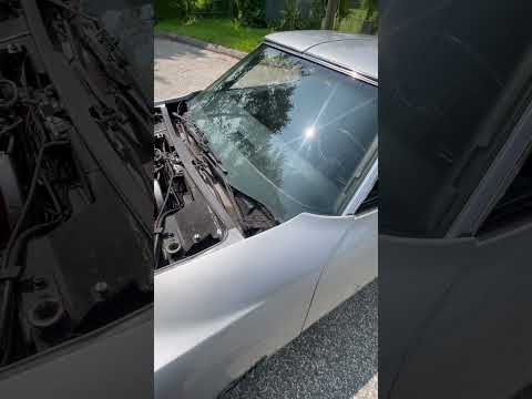 1975 Chevrolet Corvette Stingray (CC-1753707) for sale in Milford, Connecticut