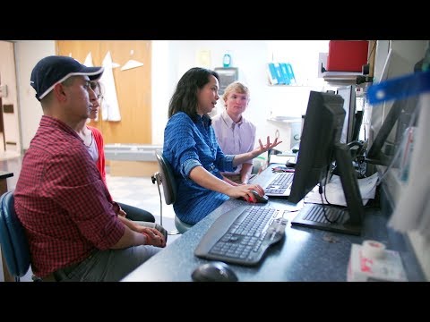 Ai-Ling Lin: Identifying Interventions to Slow Brain Aging and Prevent Dementia