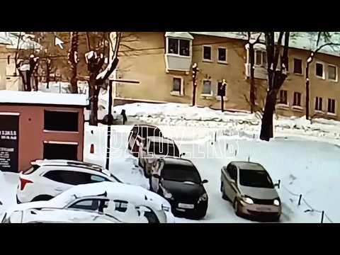 "Ниссан" втоптал первоклассника в сугроб и уехал. Real video