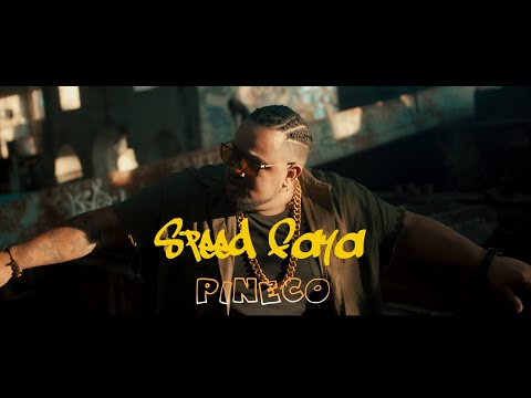 Speed Faya "Pineco" clip officiel