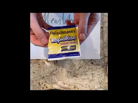 Simple Braided Bread