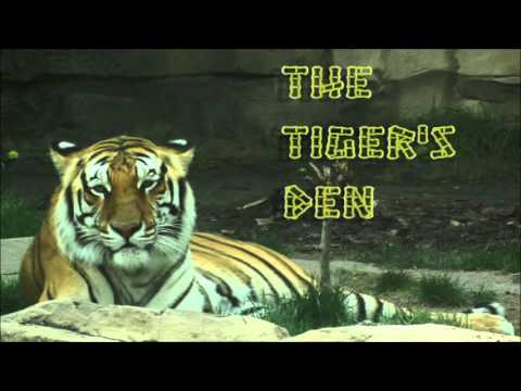 March 8th Trade What You See with Larry Pesavento on TFNN - 2016