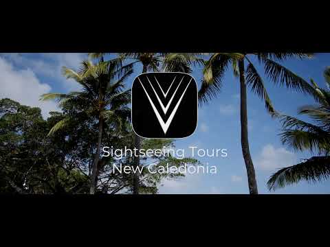 Airport transfer VIP Premium class video