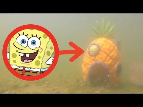I FOUND SPONGEBOBS HOUSE IN REAL LIFE! *We Saw Him Too!!*