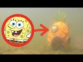 I FOUND SPONGEBOBS HOUSE IN REAL LIFE We Saw Him Too
