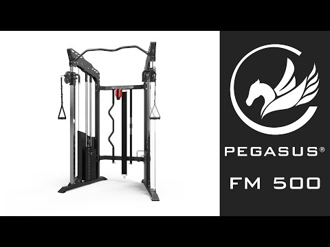 Pegasus Functional Trainer FM‑500
