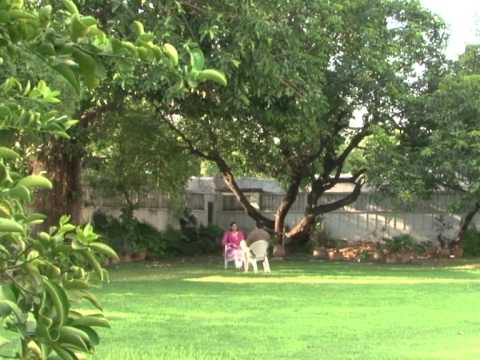 Reported 'honour' killings rising in Pakistan