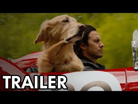 EL ARTE DE VIVIR BAJO LA LLUVIA | Tráiler | 6 de septiembre en cines