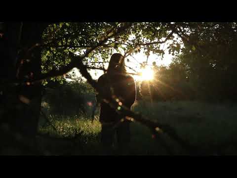 R.G. Bizzi & Det kollektiva omedvetna - Solen