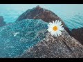 Relaxing Music, Peaceful Music, Instrumental Music "Looking Seaward" by Tim Janis
