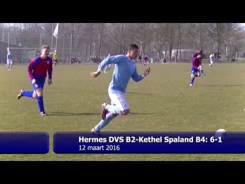 Samenvatting Hermes DVS B2 -  Kethel Spaland B4
