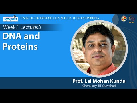 Essentials of Biomolecules Nucleic Acids and Peptides
