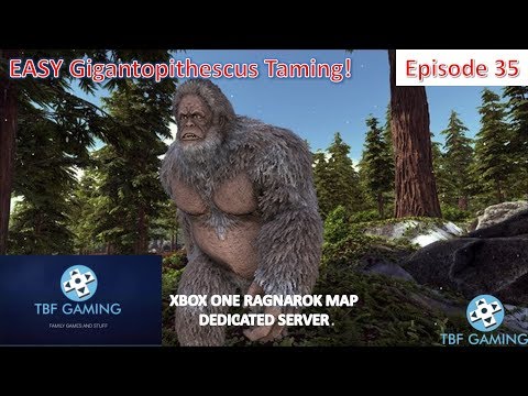 Ragnarok Xbox One E35 Easy Gigantopithecus Taming Ark Survival Evolved Dedicated Server