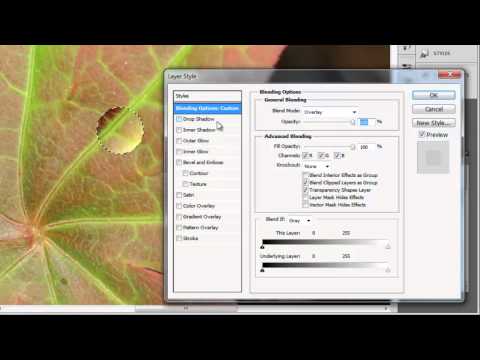 How to View Photoshop Full Screen