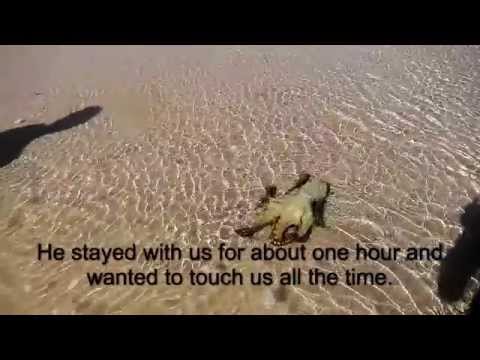 YouTube video