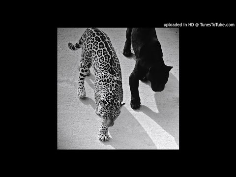 ZUUKOU MAYZIE 667 x OSIRUS JACK 667 "CAMO” | FR / UK DRILL Type Beat (prod MOYZ)