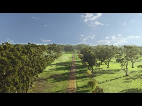 Beyond The Valley 2023 | Feels good to be back!