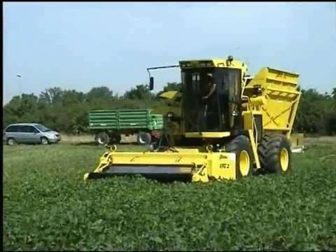 Green bean harvester - Oxbo 2430 | Sweere