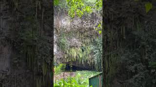 #cruise #adventure #funtimes #vacation #travel #travelphotography #vlog #blog #cruiseadventure