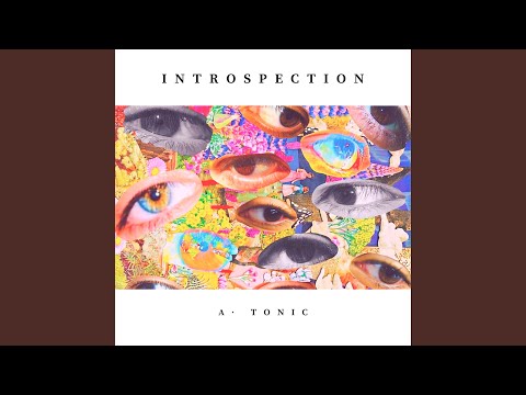Introspection (Rabec Remix)