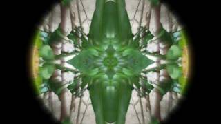 Matt Elliott's 'Gone'