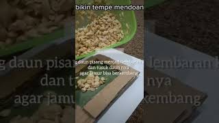 Download lagu tutorial membuat tempe mendoan mp3 Download lagu tutorial membuat tempe mendoan mp3