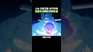 원피스) 스승 미호크를 뛰어넘기위해 조로가 선택한 마지막 검