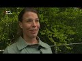 Brunner door de Bocht: Brommers - vr 5 jun 2020, 17.15 uur [RTV Utrecht]
