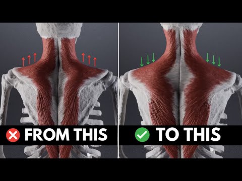 How To (actually) Fix Tight Upper Traps