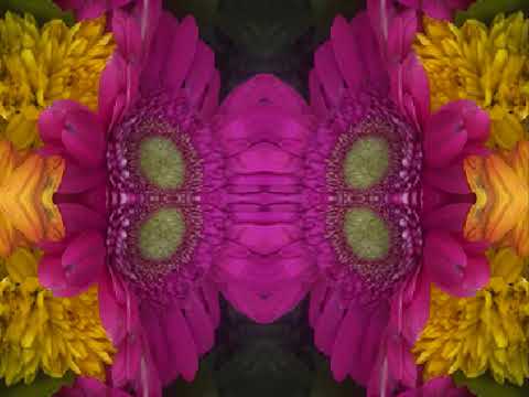 Thumbnail for Tore Down (by Eric Clapton live at the Fillmore, San Francisco 1994) by Freddie King