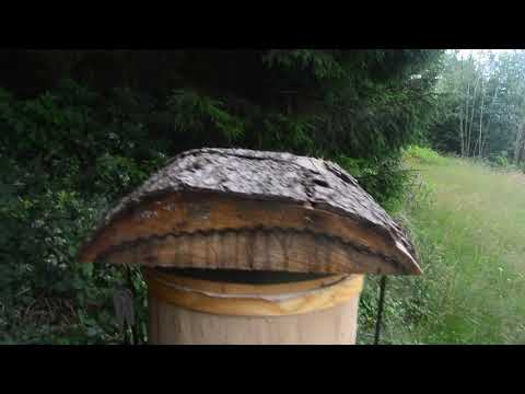 Renaturierung im Bienenturm