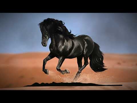 Ivan Aslan - Maro (REMIX) / HAYASA BEATS