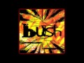 Bush - My Engine Is With You
