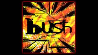 Bush - My Engine Is With You