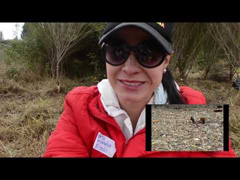 Y tú ¿cuánto plástico consumes?