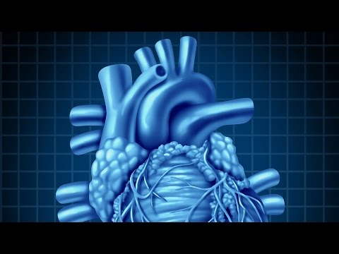 Human Physiology - Central Venous Pressure, Part 1